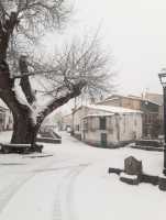 Nevada en San Bartolo