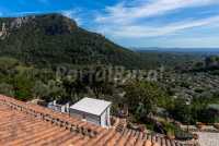 Vistas terraza