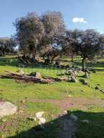 Vistas al campo